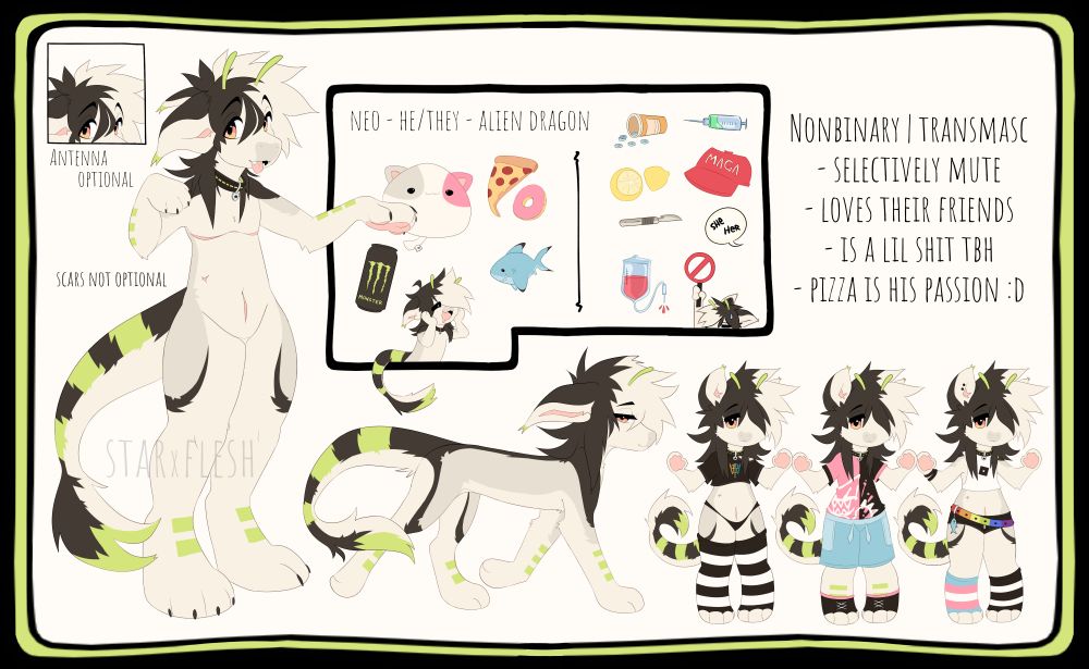 Reference sheet of an alien dragon character. His name is Neo and he is nonbinary - going by he/they pronouns! He is selectively mute and loves pizza and his friends! He is a small slim dragon with green antenna and a white black and grey body.