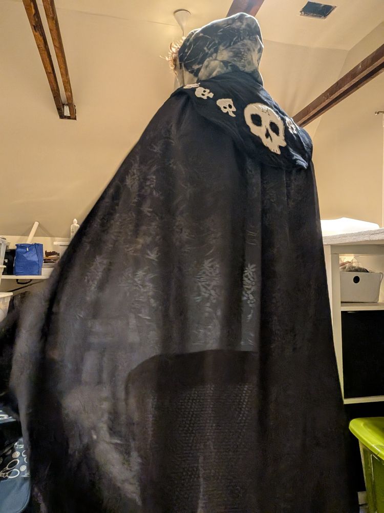 Standing facing away from the camera, black cloak and back of tabard with skulls
