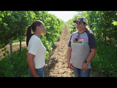 War on La Radio