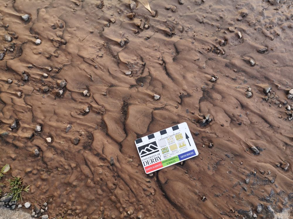 Sedimentary structures formed in a fine sand - caused by a bust water main. 