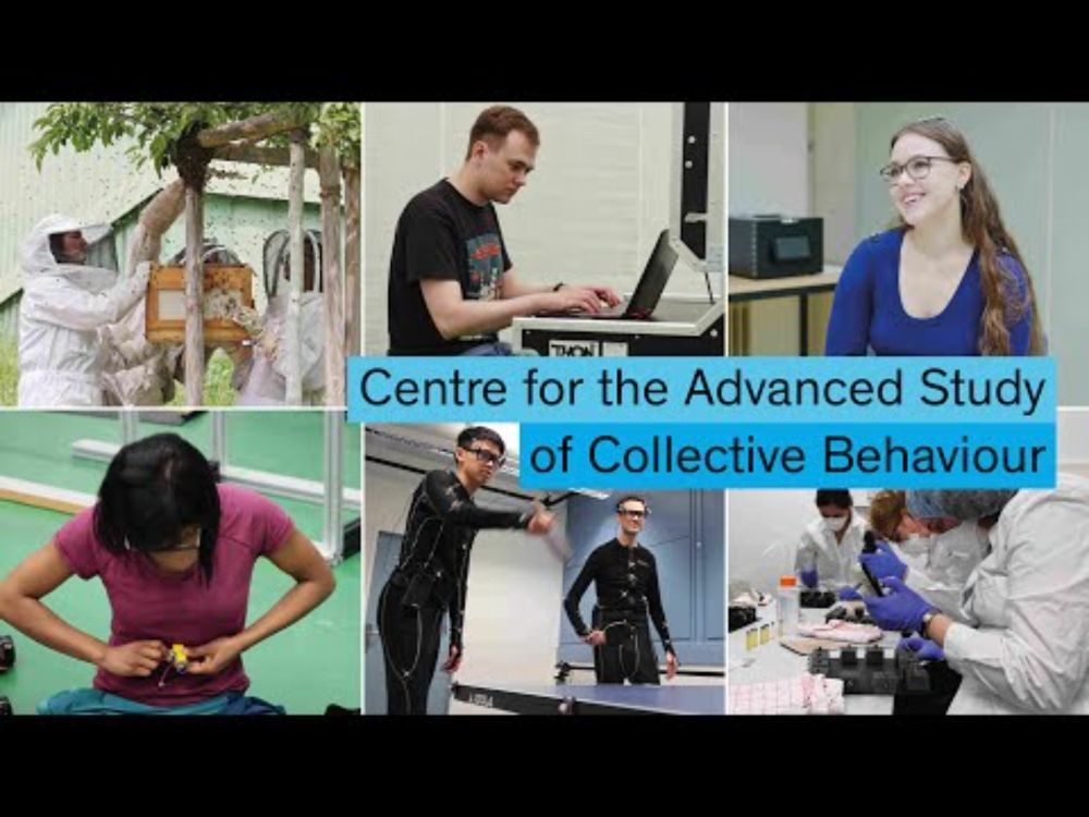 The Cluster of Excellence Centre for the Advanced Study of Collective Behaviour