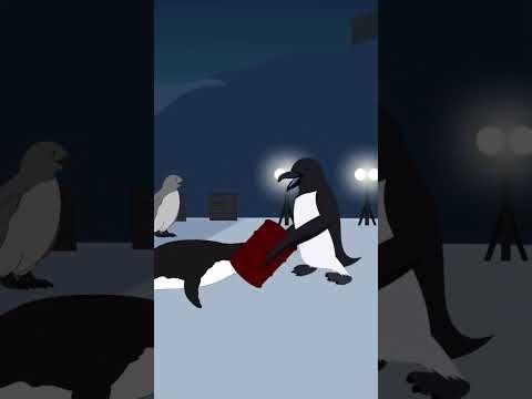 #nootnootmeme #memes #pingunootnoot  #holynootnoot #roblox #nootnoot