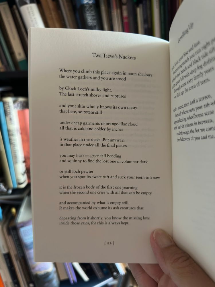 A poem from Wonder by Chris Emery