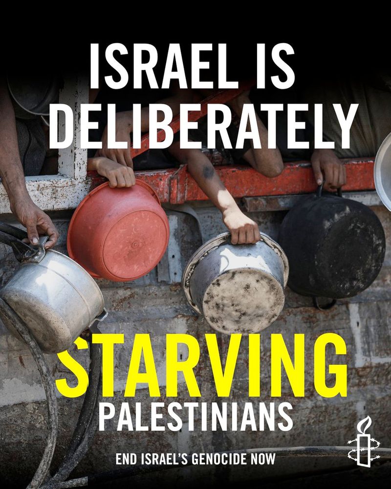 Image : des personnes qui portent des casseroles derrière une barrière.
TEXTE: 
Israel is deliberately Palestinians
End Israel's genocide now.
TRADU :
Israël affame délibérément les Palestiniens.
Mettez fin au génocide israélien maintenant.