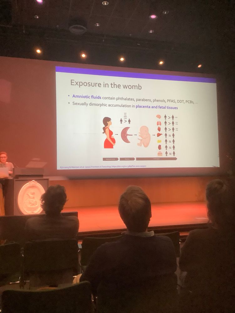 An image how foetus internal organs contain pollutants EDCs.