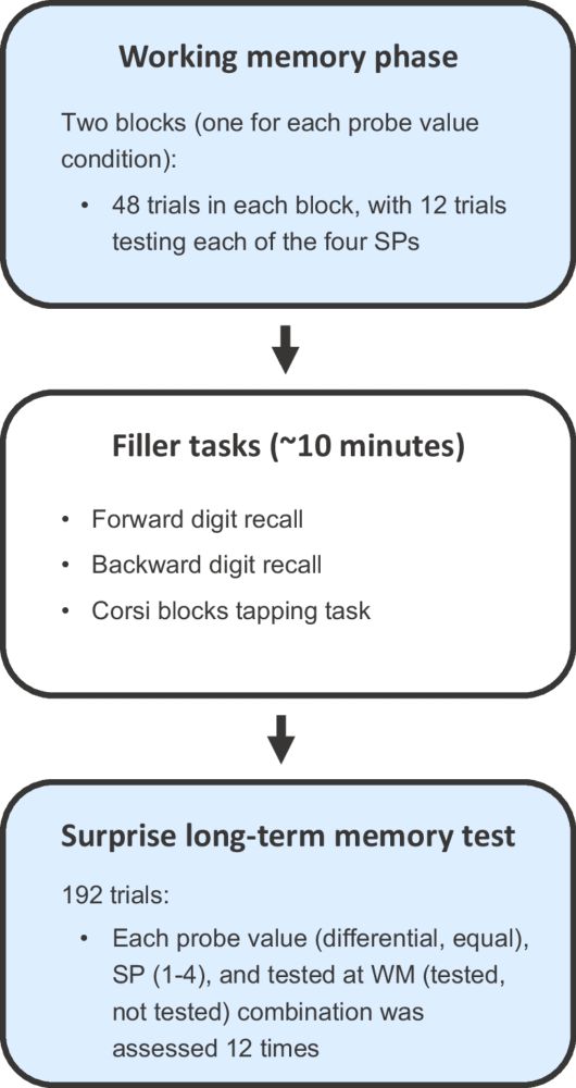 Does value-based prioritization at working memory enhance long-term memory? - Memory & Cognition