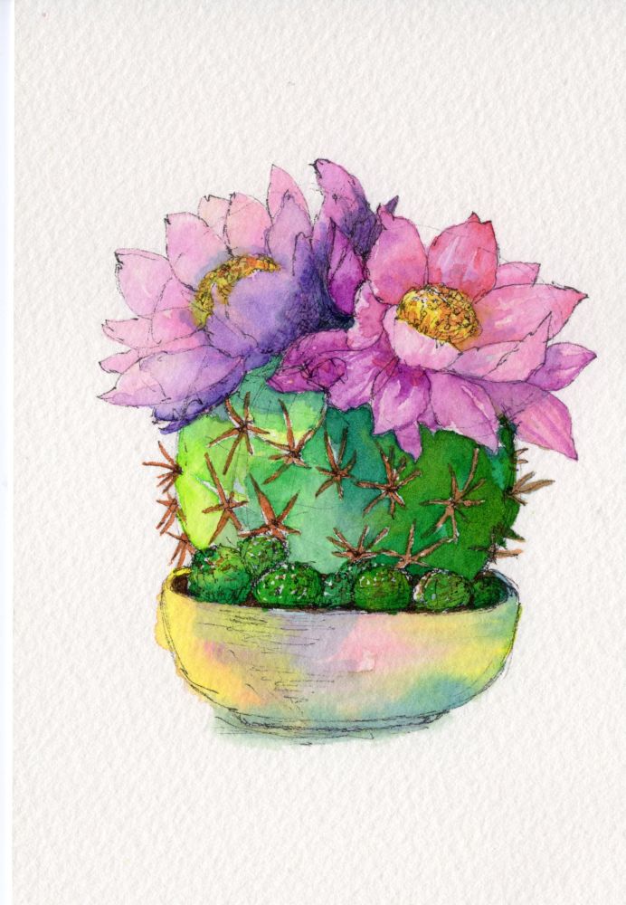 花が咲いたサボテンの鉢植え。2輪の花がピンク、胴体の丸い部分は緑色。鋭い棘が生えている。鉢はクリーム色に青やピンクが滲んでいる。