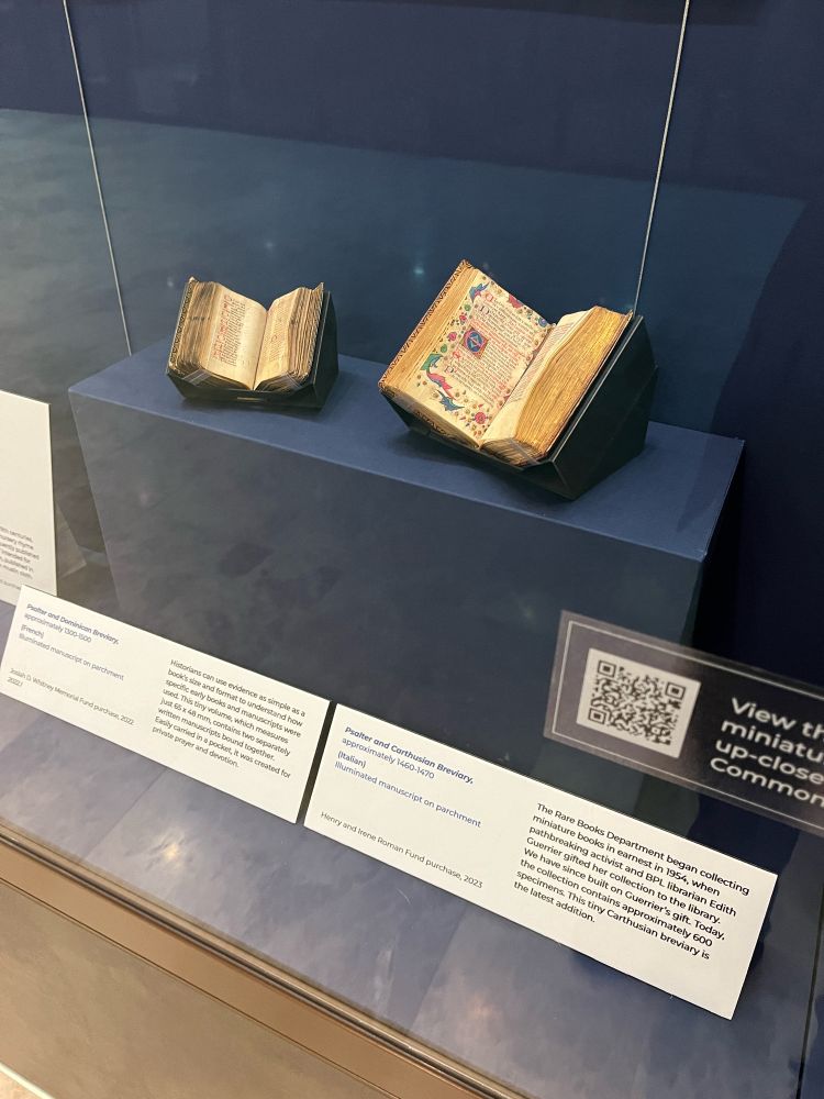 Two miniature medieval manuscript