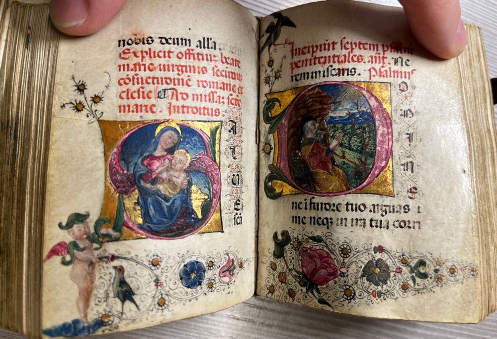 Four missing leaves in the Mass of the Virgin result in two adjacent historiated iniatls. On the left, the Virgin and Child, on the right, King David
