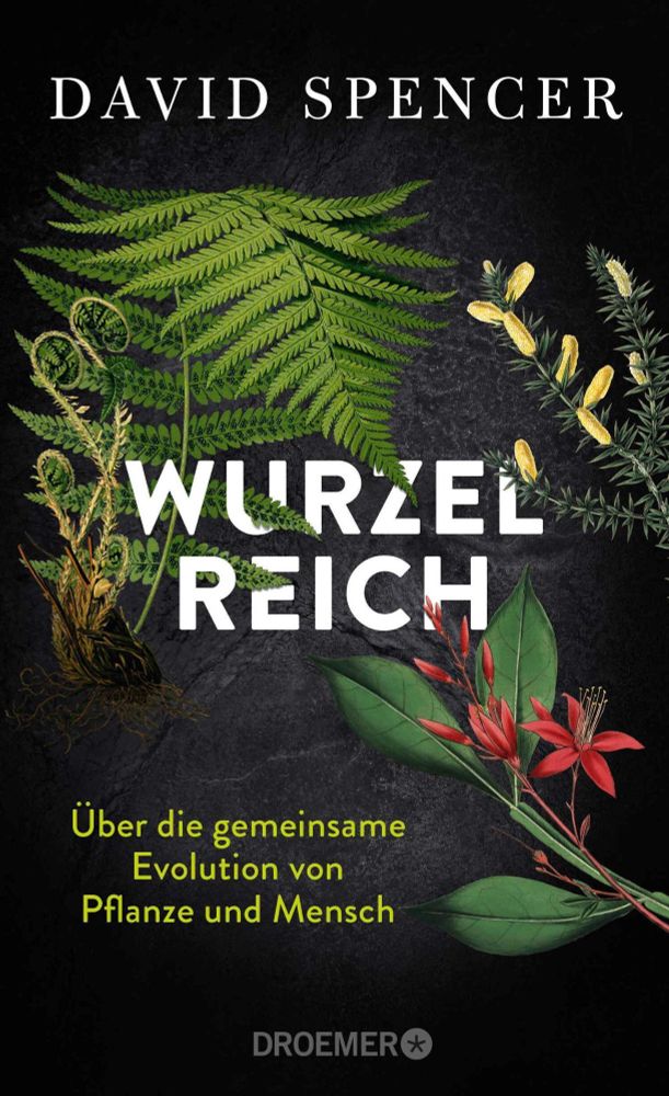 »Wurzelreich«: Das »WLAN« der Pflanzen