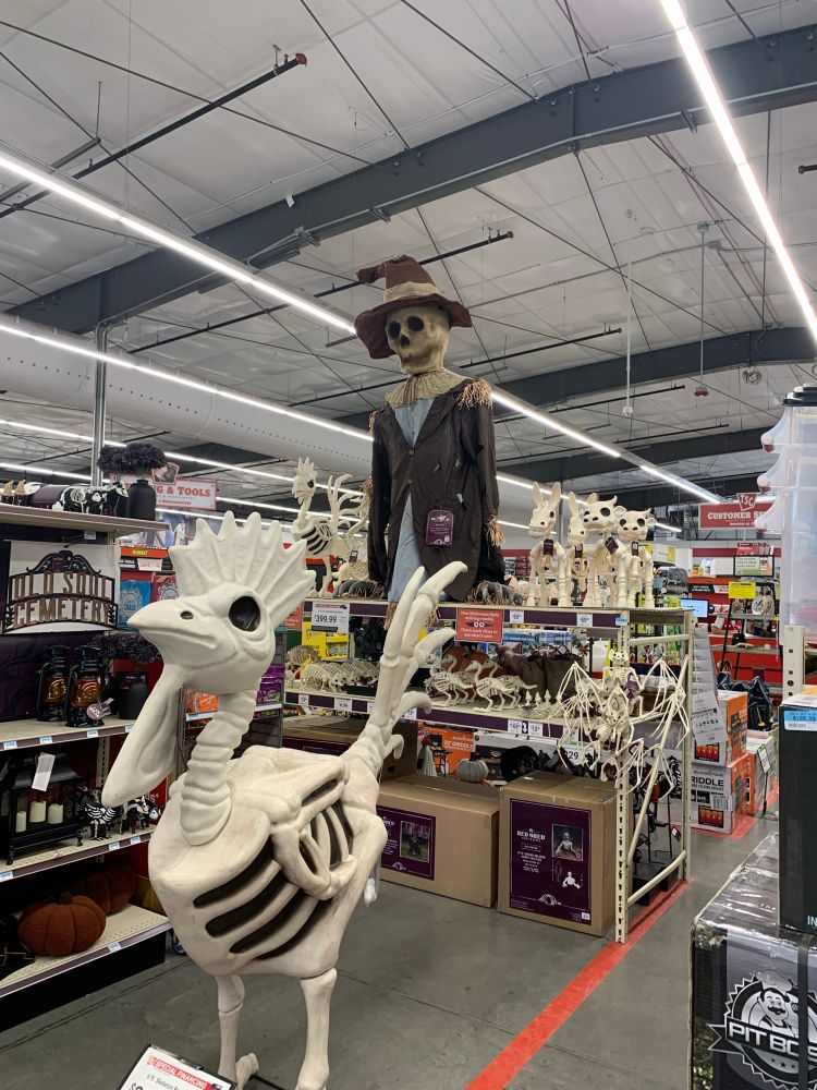 Tractor Supply skipped to Halloween. Halloween decor. 
