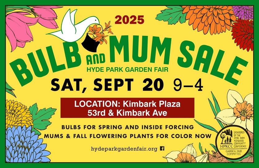 Graphic that says Bulb and Mum Sale Saturday September 20, 9 to 4 Location: Kimbark Plaza at 53rd and Kimbark Avenue