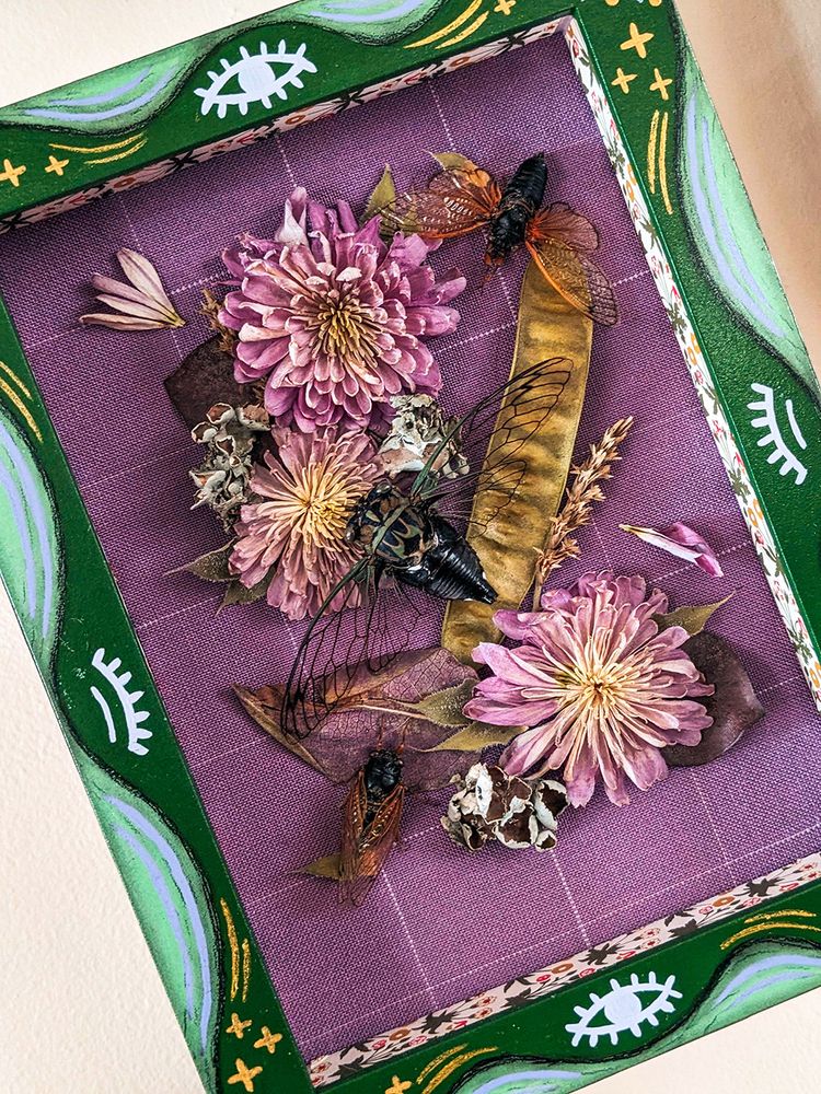 A picture of a hand painted shadowbox frame with green, purple, and gold eye and star details.  The frame contains two periodical, black and orange cicadas and one large black and green annual cicada.  They are on a purple cloth background and are surrounded by dried purple flowers, dried green leaves, white lichen, and strewn purple petals.