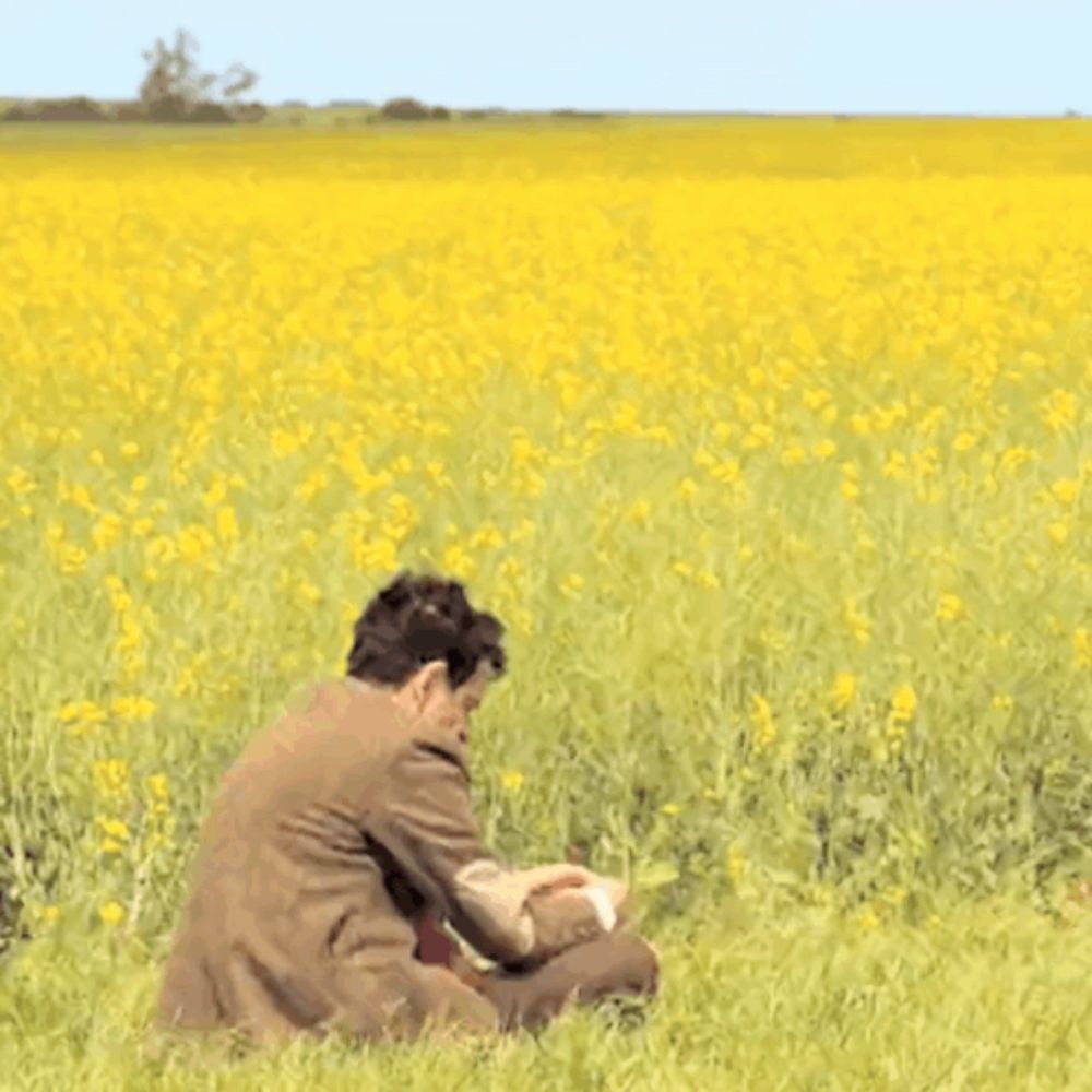 a man sitting in a field of yellow flowers