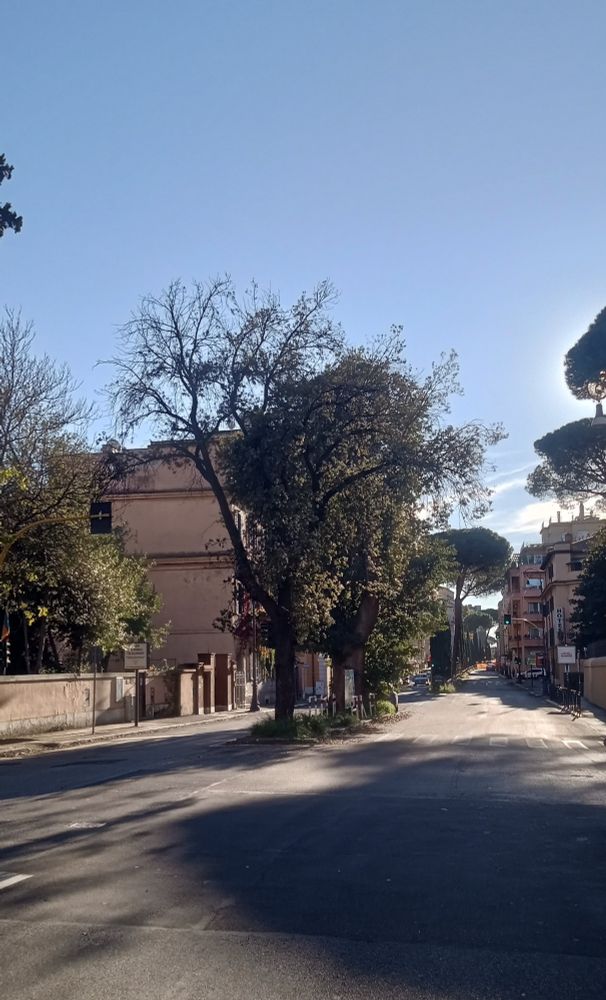 Via Salaria in Rome