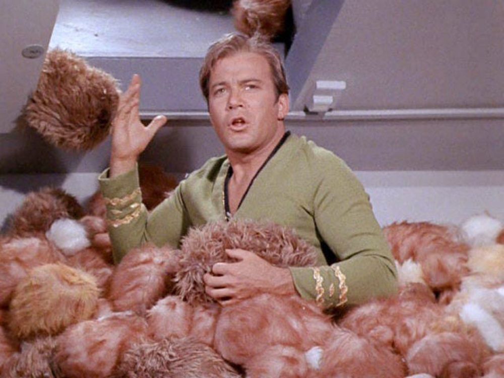 The Trouble with Tribbles (and Professional Development in Education)