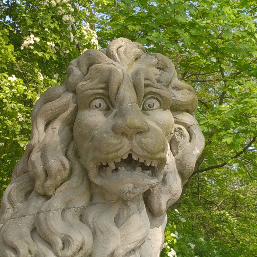 statue of a apparently surprised lion in marble