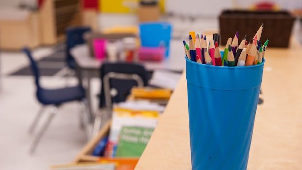 Most Albertans would vote to end public funding of private schools, poll suggests | CBC News