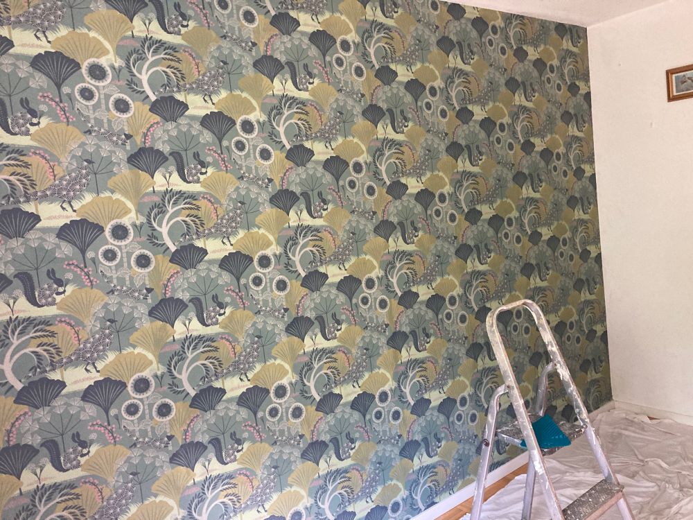 A Borasterpeter wallpaper with a nature theme. 