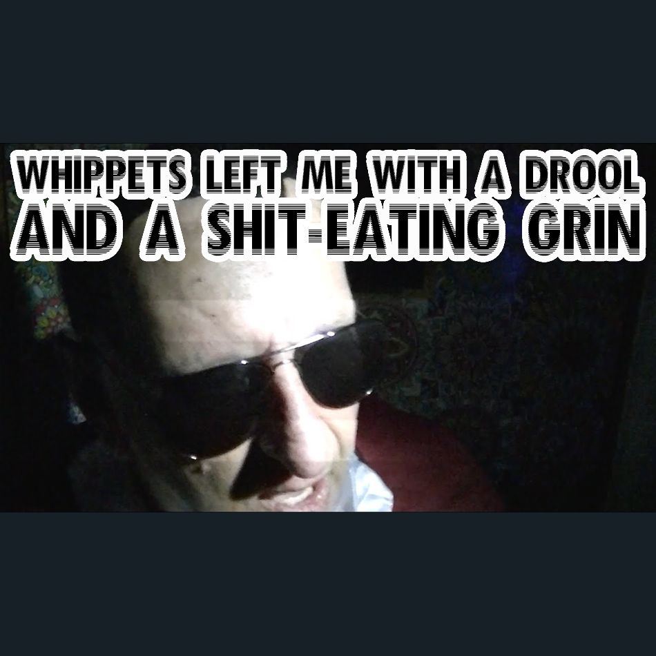 Dracula Flow meme

Whippets left me with a drool and a shit-eating grin
