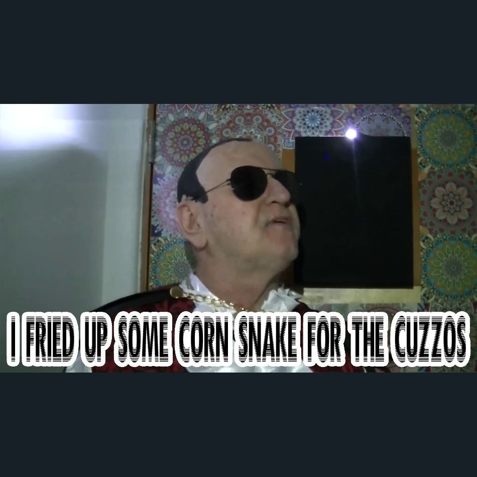 Dracula Flow meme

I fried up some corn snake for the cuzzos