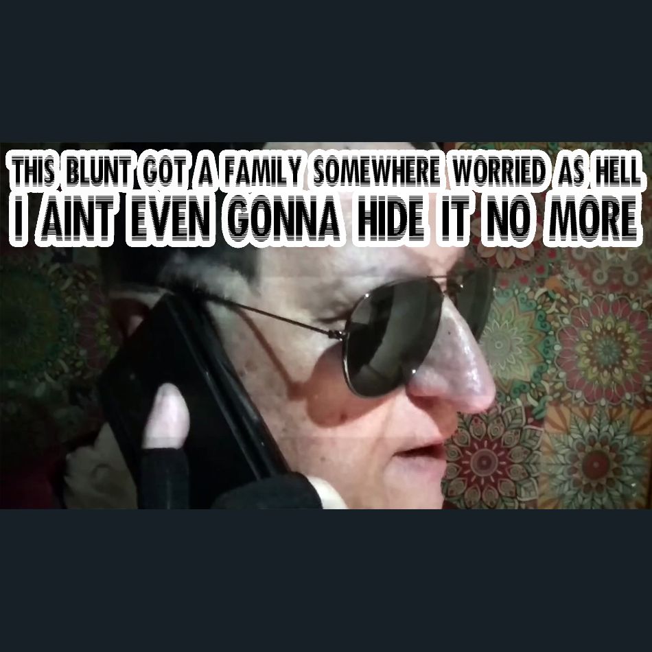 Dracula Flow meme

This blunt has a family somewhere worried as hell. I ain't even gonna hide it no more.