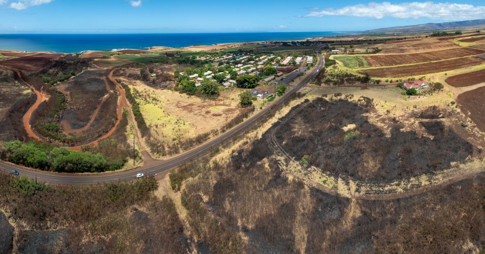 What If HOAs, Not Government, Enforced Wildfire Prevention Rules?