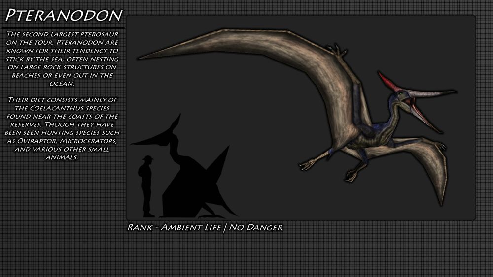 Text:
Pteranodon
The second largest pterosaur on the tour, Pteranodon are known for their tendency to stick by the sea, often nesting on large, flat rock structures on beaches or out at sea.

Their diet mainly consists of Coelacanthus, a small fish found on the coasts of the hunting reserves. Though they have also been seen hunting small species of dinosaur, such as Microceratops and Oviraptor.

Model: A large, early 90s style depiction of a Pteranodon, with a mainly tan coloration with blue on their back. They have a crest slightly P. sternbergi's that is bright red, and their beak is pointed at the tip. They're roughly 10 feet, or around 3 meters, tall.