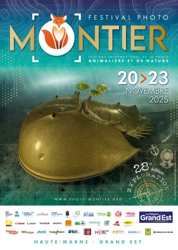 Affiche du 28ème édition du Festival International de la Photo Animalière et de Nature à Montier-en-Der, du 20 au 23 novembre.