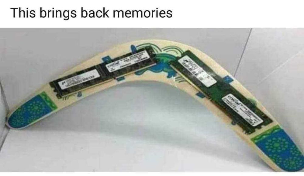 A photo of boomerang with two sticks of RAM attached to it