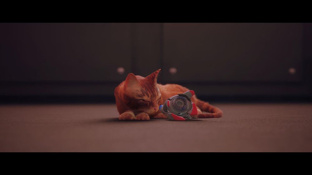 Our hero (the cat) having a sleep by its companion