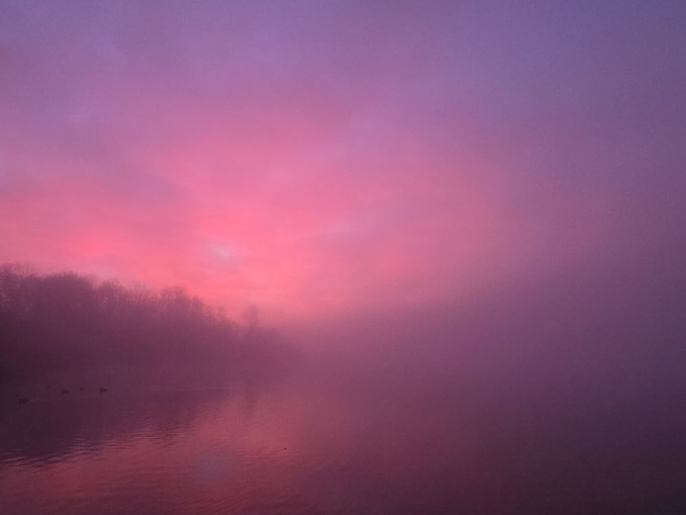 Lake in mist, with trees at shore...pink clouds over in sky