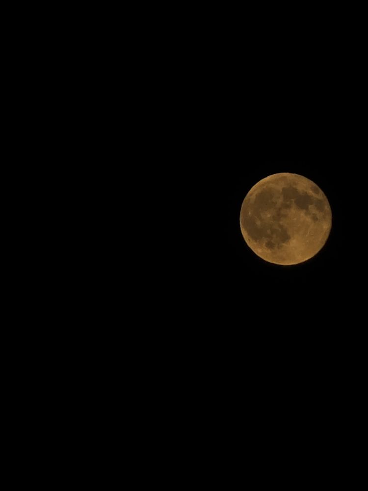 Full moon at sky, close up
