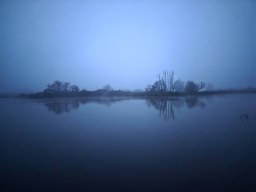 Shore of lake in mist, grey sky