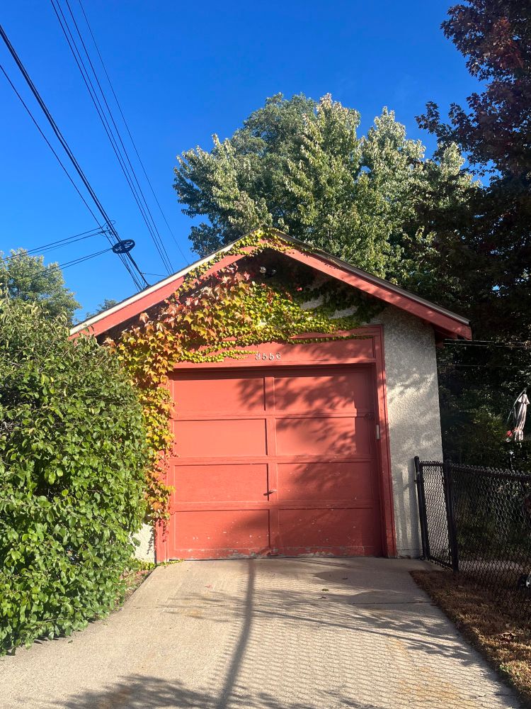 Green and orange wines covering a stucco garage with an orange painted door