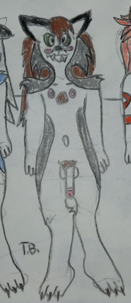 Comment image