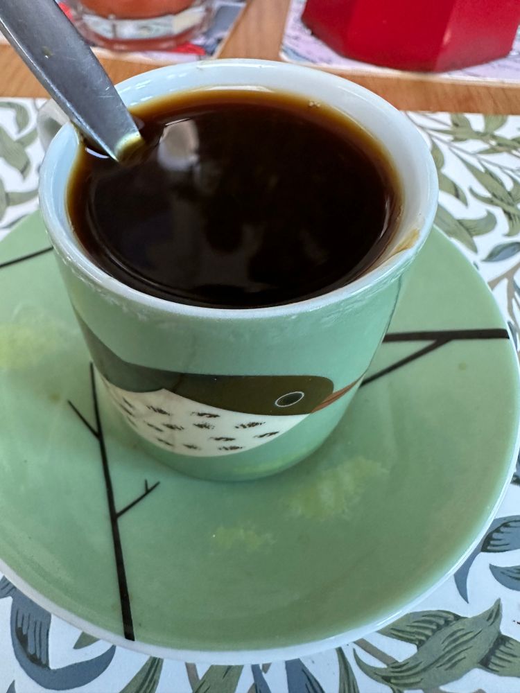 Strong black coffee in a green espresso cup, decorated with brown speckled thrush, sitting on a green saucer with brown twigs. A small spoon emerges from the liquid to the left. They rest on a table mat decorated with green leaves on a white background.