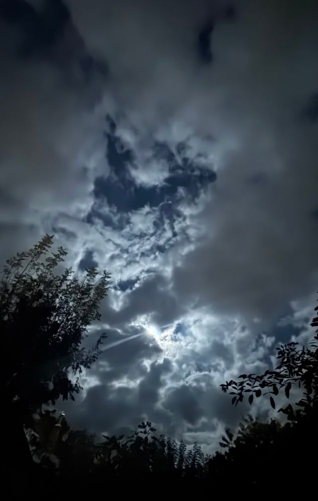 A night sky with clear patches of dark heavenly blue, the cloudscape backlit by the waning Moon, which peeps out mysteriously behind one dark formation. Below, the trees and shrubs in our garden take on a sinister feeling as they are left in silhouetted shadows. 