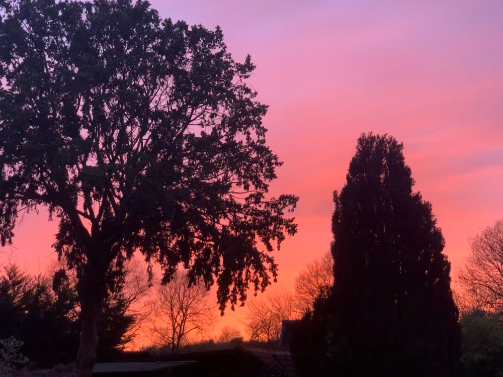 The day gives way to night in a fiery show of defiance against the coming dark over our English village. Trees are silhouetted against the dramatic sky.