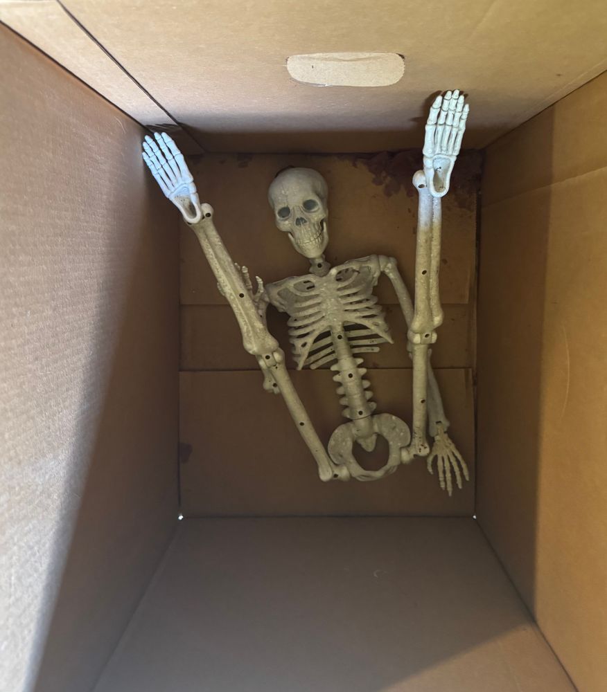 Plastic Skeleton at the bottom of a cardboard box with its legs over its head