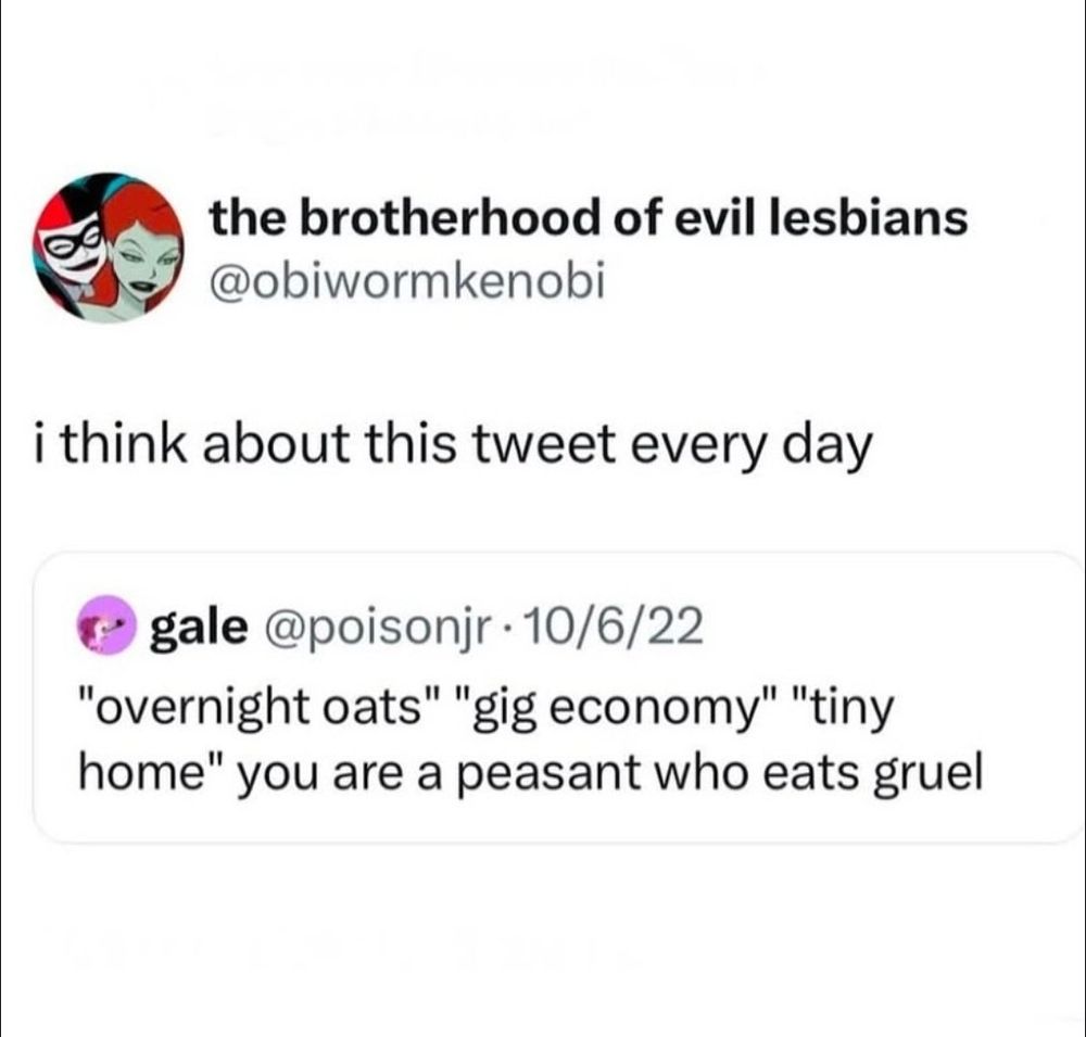 I think about this tweet every day 

"Overnight oats" "gig economy" "tiny home" you are a peasant who eats gruel