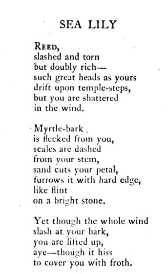 Sea Lily by Hilda Doolittle (H.D.):

Sea Lily

Reed,
slashed and torn
but doubly rich—
such great heads as yours
drift upon temple-steps,
but you are shattered
in the wind.

Myrtle-bark
is flecked from you,
scales are dashed
from your stem,
sand cuts your petal,
furrows it with hard edge,
like flint
on a bright stone.

Yet though the whole wind
slash at your bark,
you are lifted up,
aye—though it hiss
to cover you with froth.