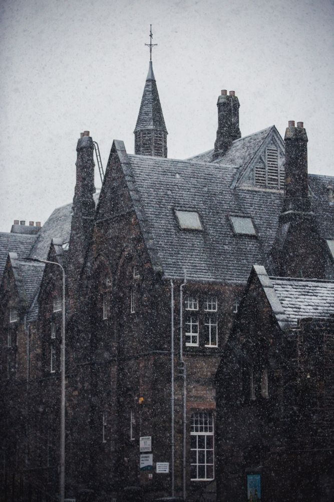 Snow on my street