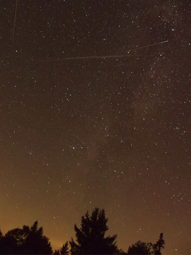 sky photo with trees