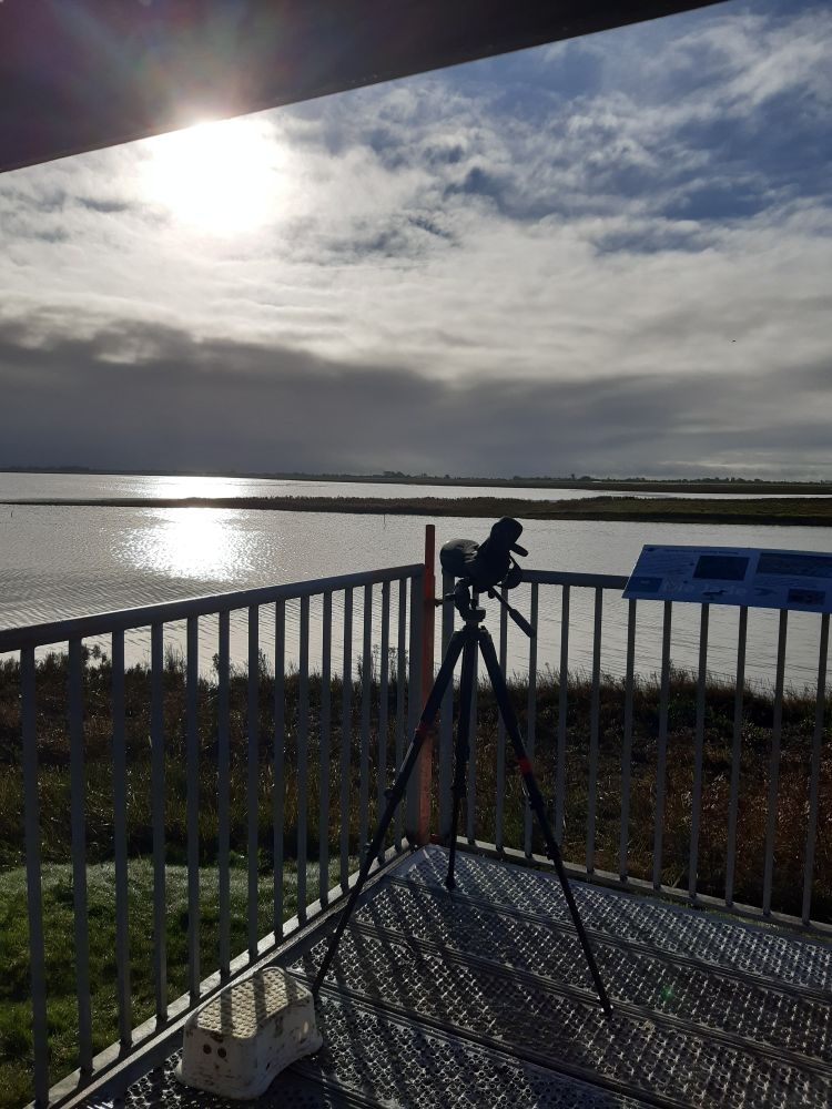 A salt marsh and inundated mudflat in the background. In the foreground a tlescope is set up on a scaffolding tower.