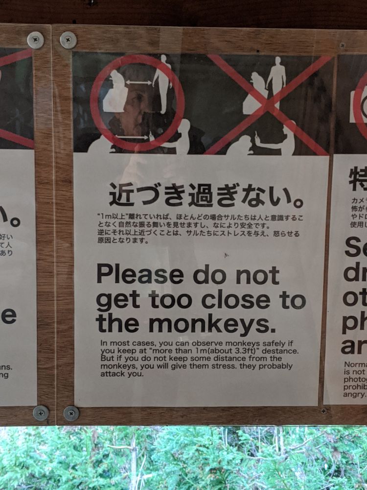 Respect the Snow Monkeys. Photo Ursula Maxwell-Lewis 