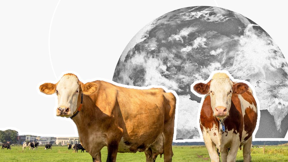 How Food and Farming Will Determine the Fate of Planet Earth