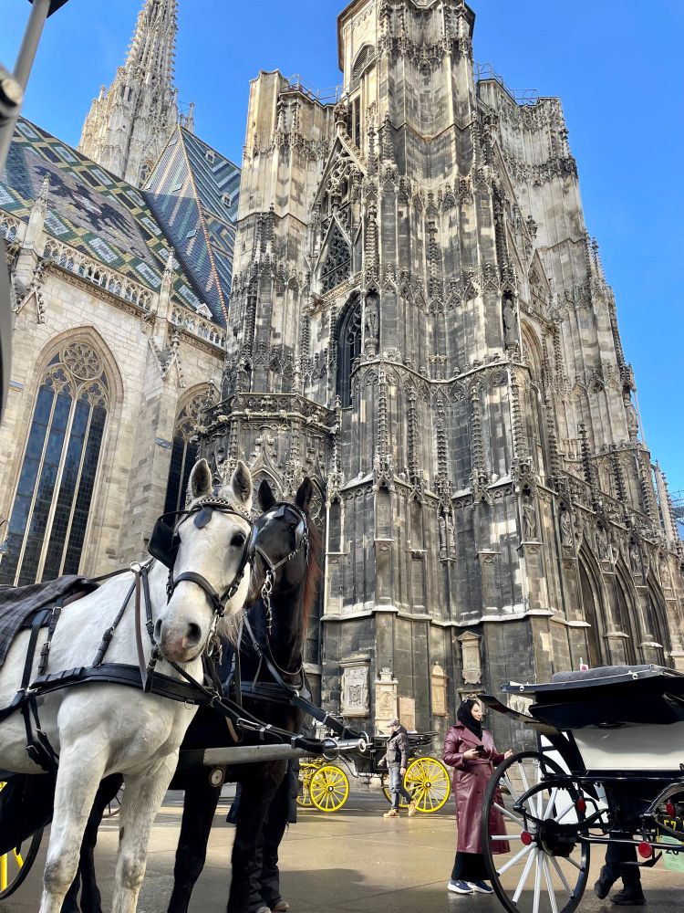 Photo from outside the Stephansdom where carriage horses are waiting in sunny weather for the next batch of tourists