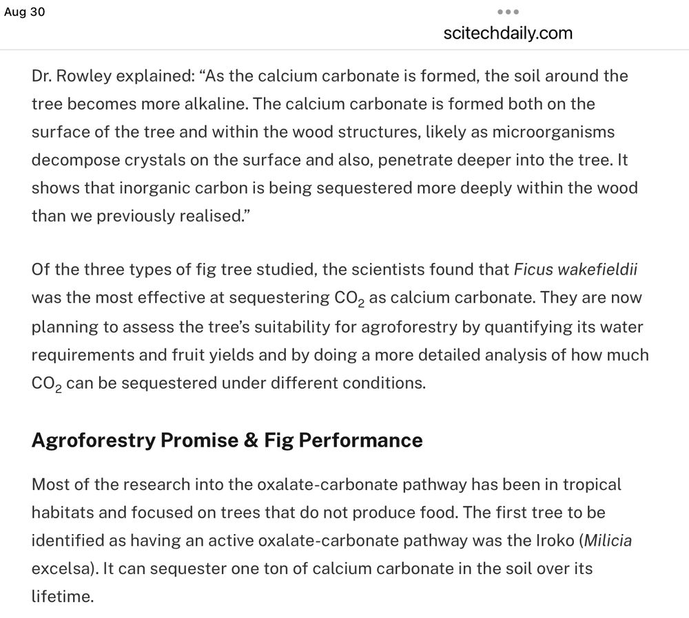 Aug 30 scitechdaily.com Dr. Rowley explained: 