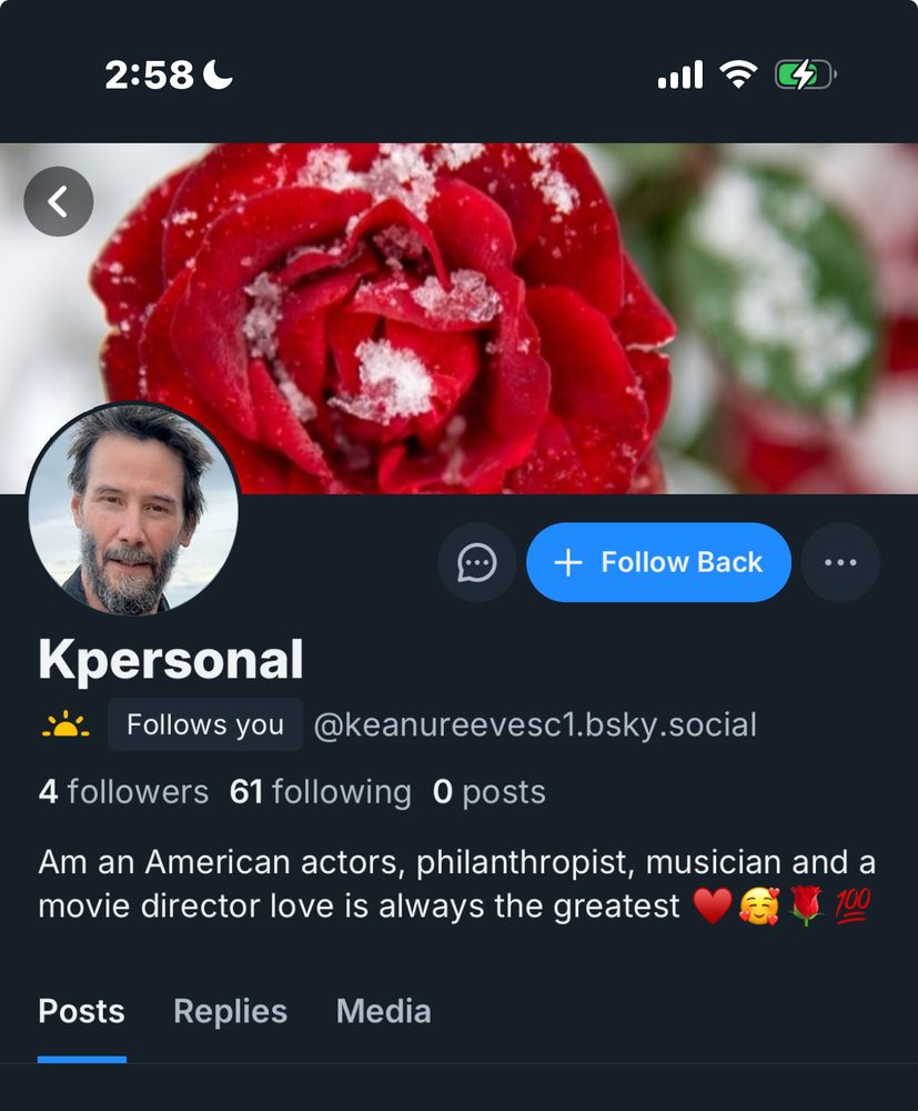 A picture of an account profile which does a terrible job of pretending to be Keanu Reeves.  The goal is likely pig butchering.
